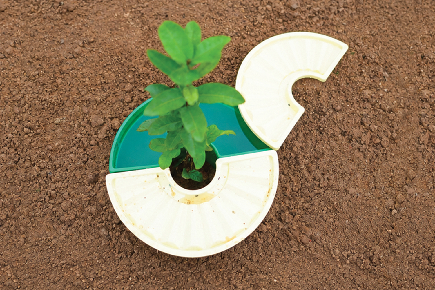 Plantbox