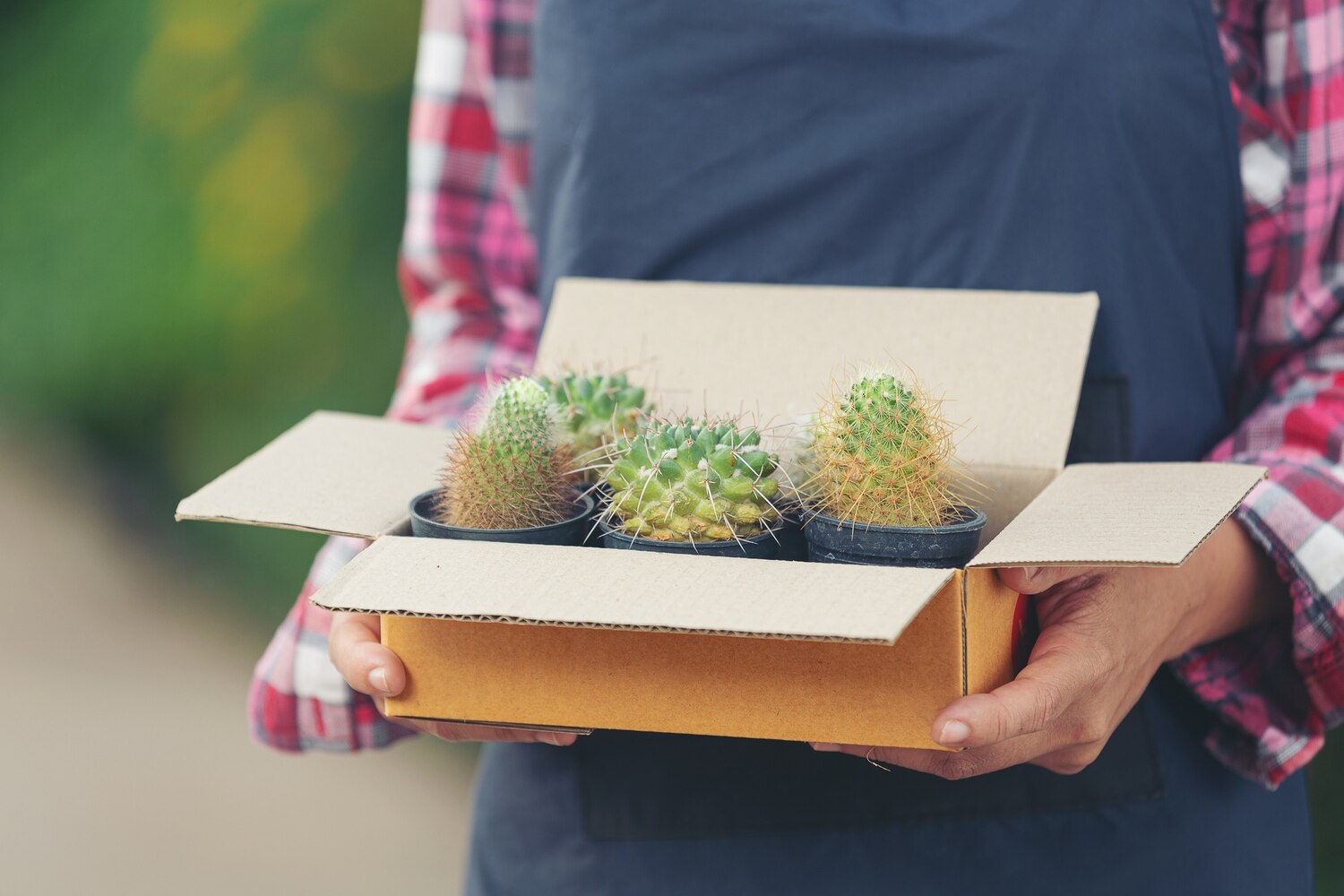 Plantbox